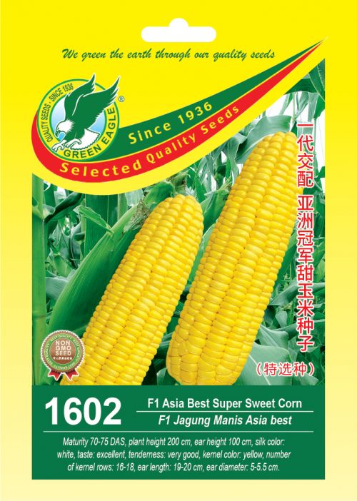 F Hybrid Asia Best Super Sweet Corn Green Eagle Seeds