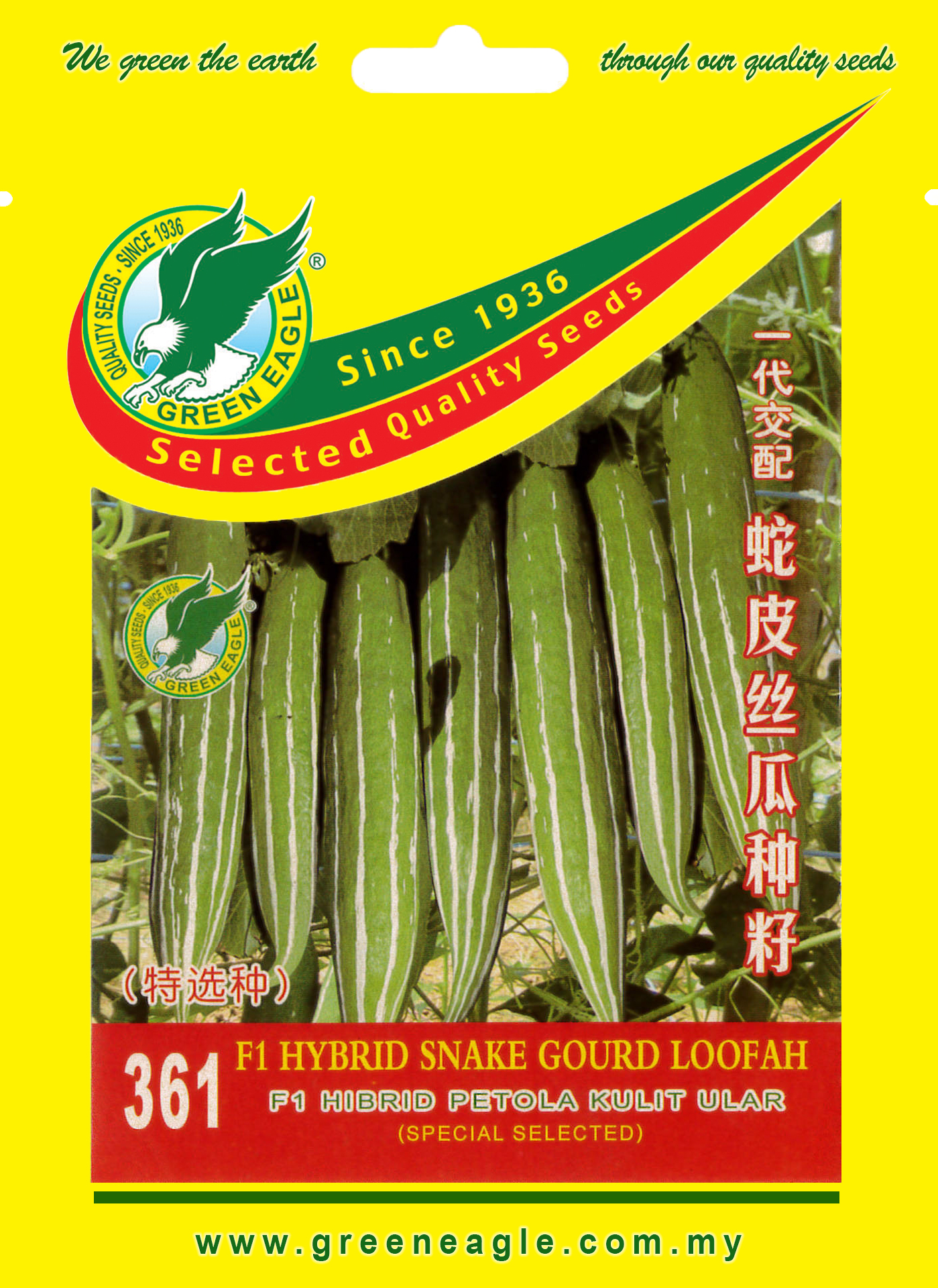 F Hybrid Asia Best Super Sweet Corn Green Eagle Seeds