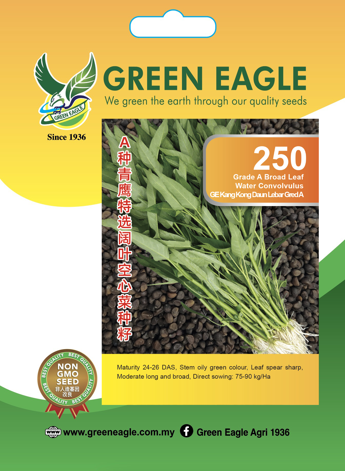 250 SSH GE Seeds 11.8x16.5