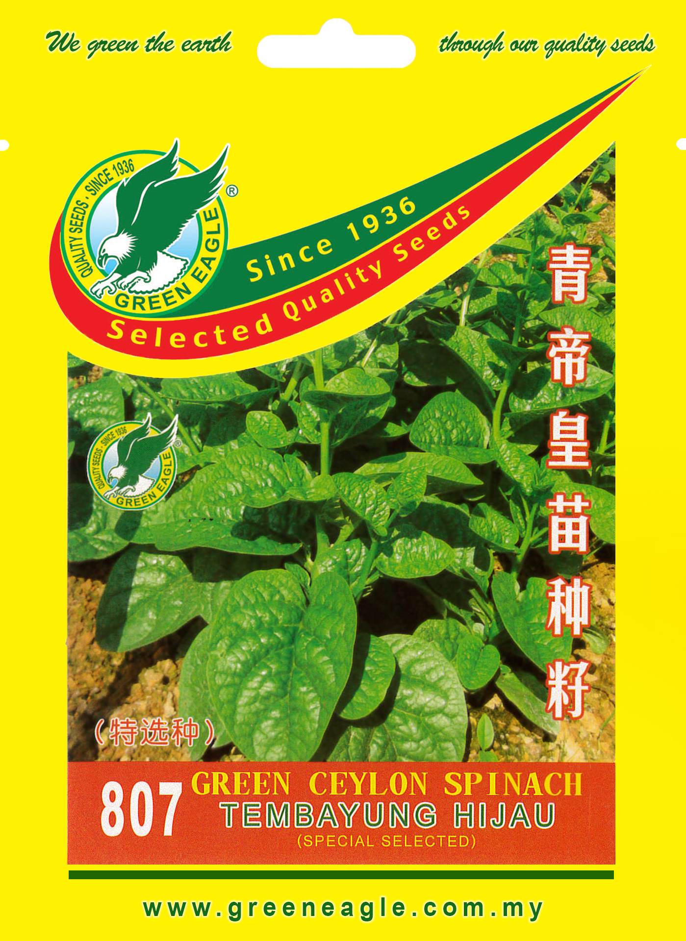 807 Green Ceylon Spinach