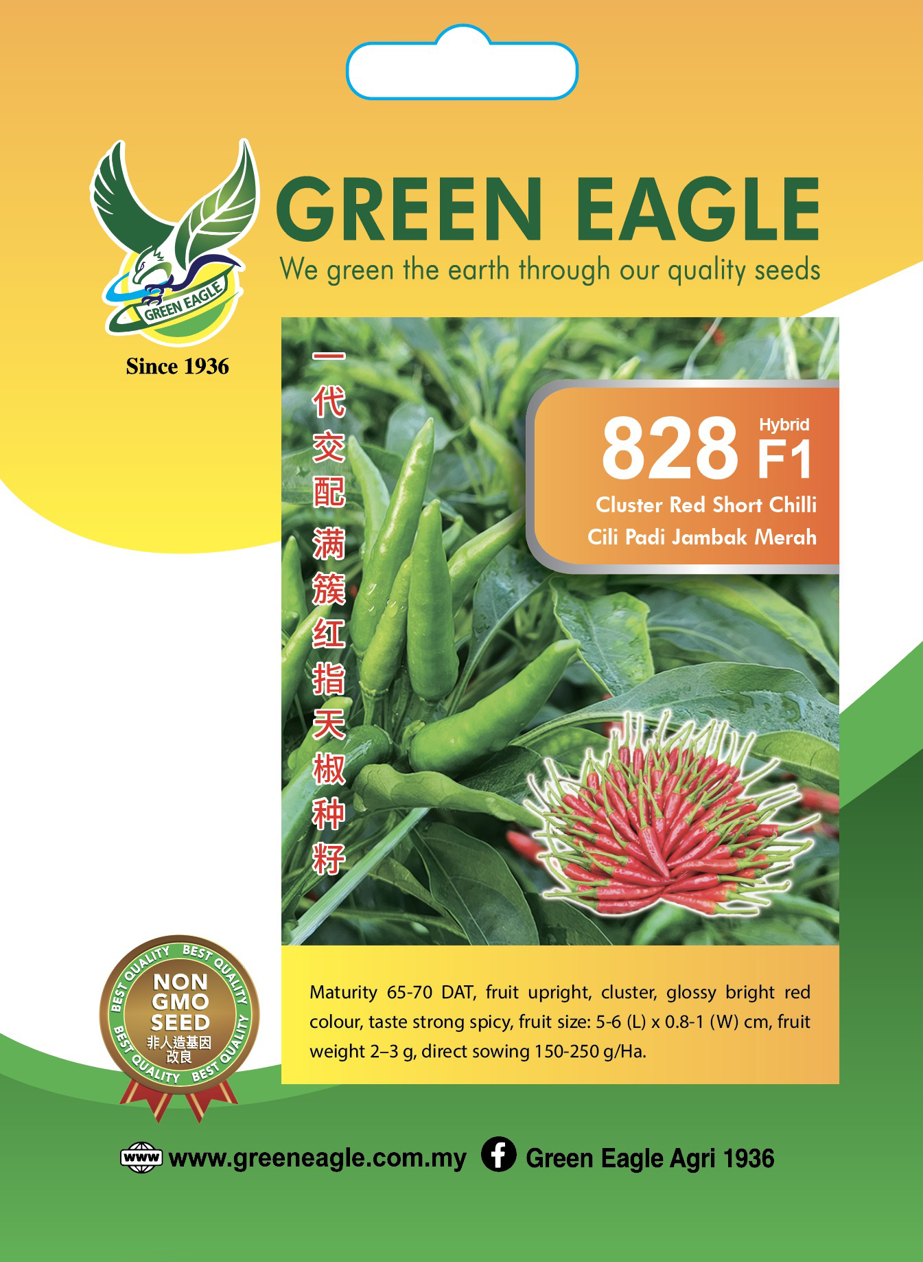 828 SSH GE Seeds 11.8x16.5