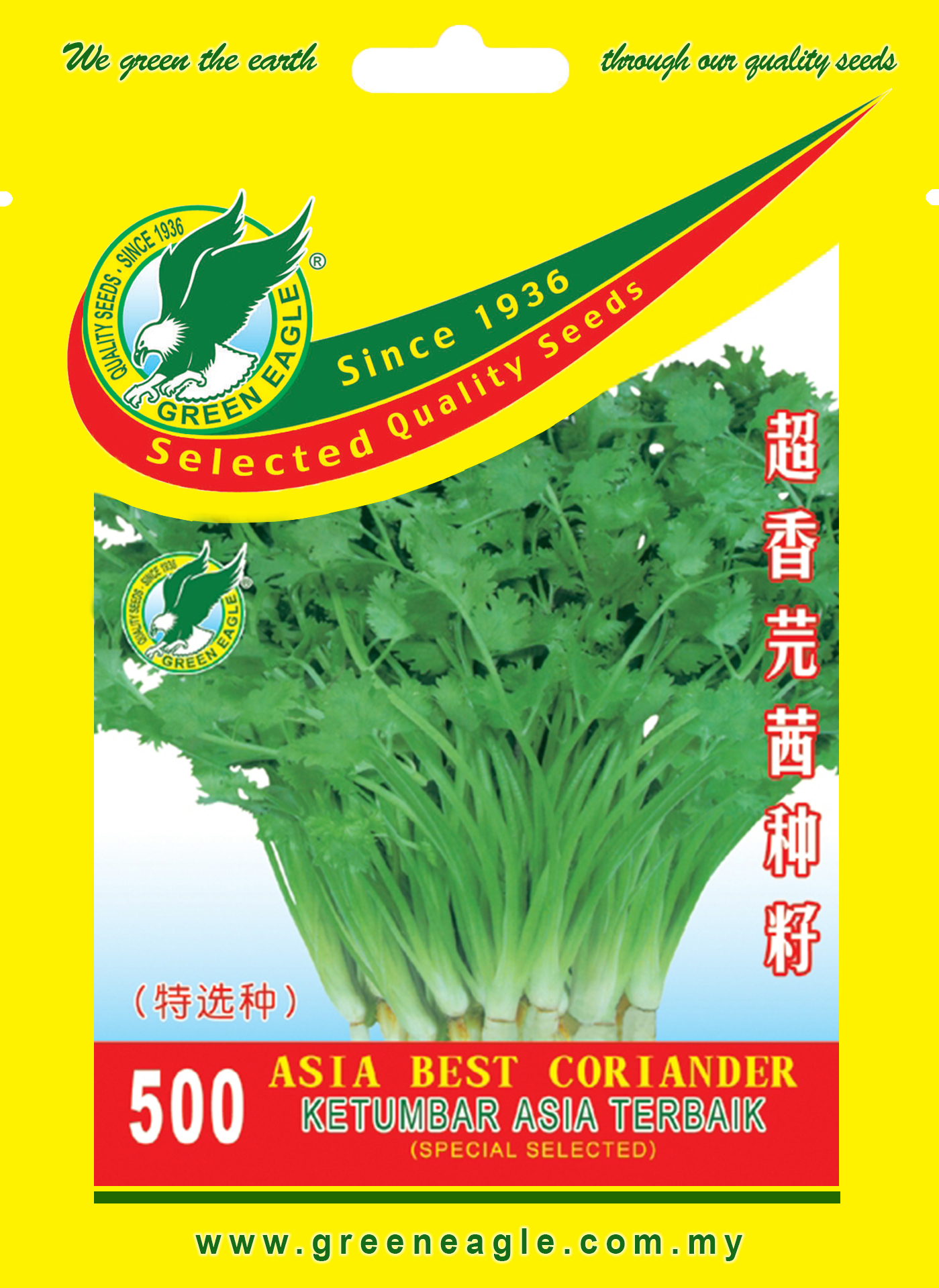 500 Asia best Coriander