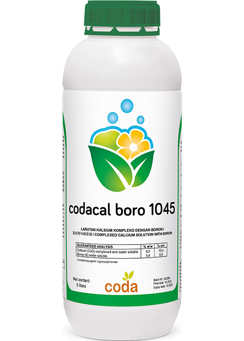 codacal boro 1045 1L (for website)