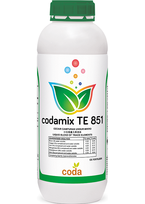 codamix TE 851 1L (for website)
