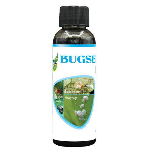 BR Bio-bugsect-bottle