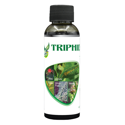 BR Bio-trisiphider-bottle