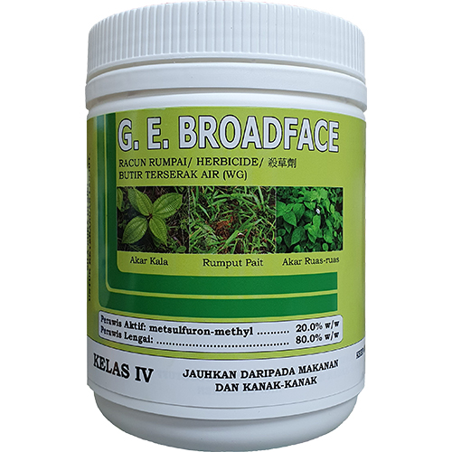 GE Broadface (for website)