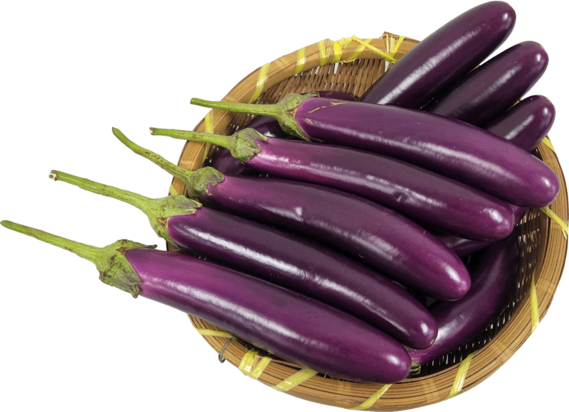 308 F1 Eggplant King of Kings - Green Eagle Seeds