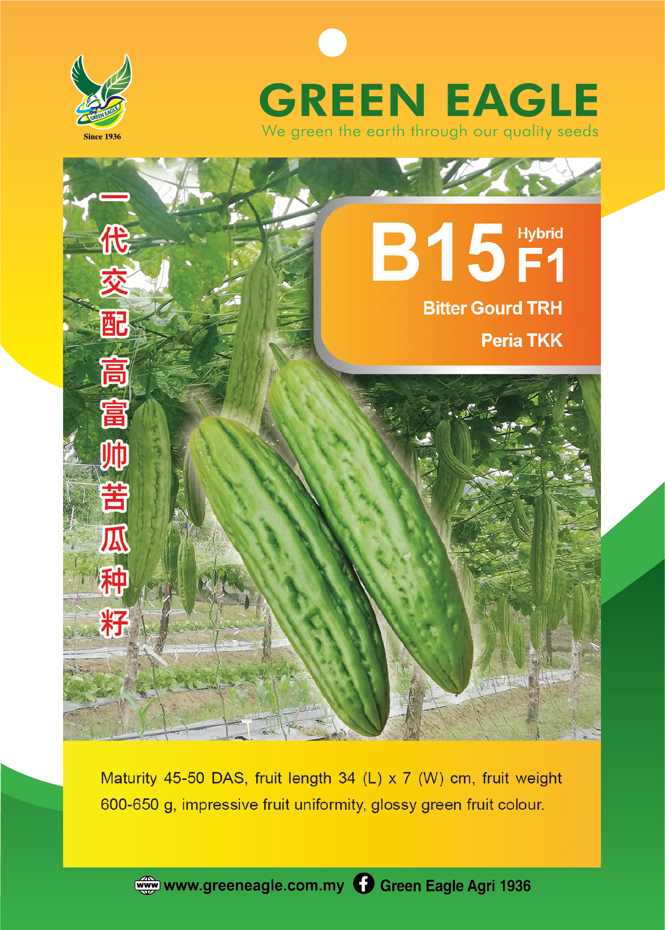 B15 10g