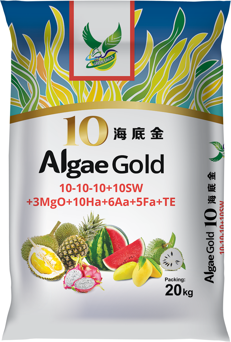 GE ALGAE GOLD 10 (68cm x 45cm)_faol (use this)