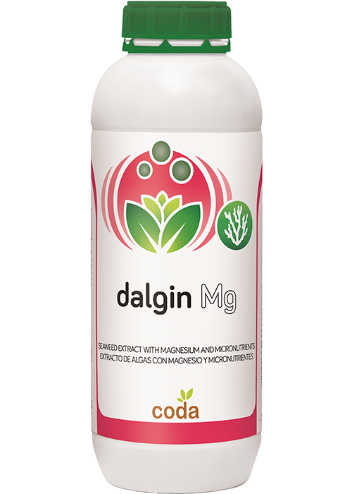 dalgin Mg 1L (for website)
