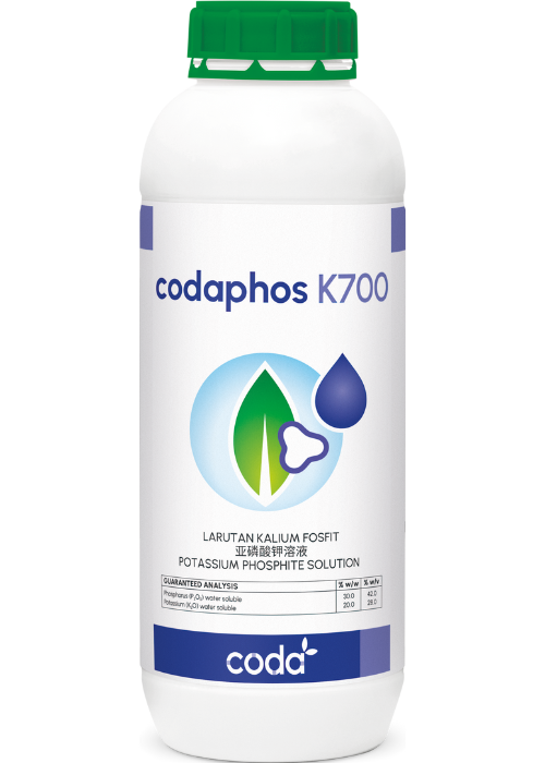 codaphos K700 1L (website)