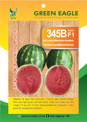 345B 10g