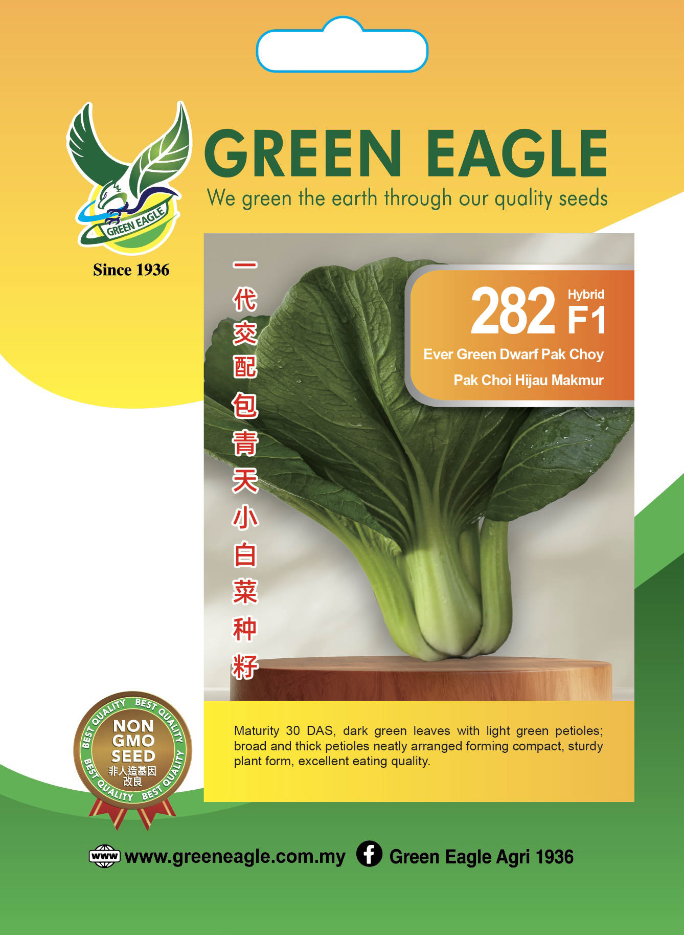 282 SSH GE Seeds 11.8x16.5