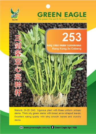 253 10g